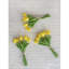 Tucson Tulip Arrangement-1761452370-1761452369