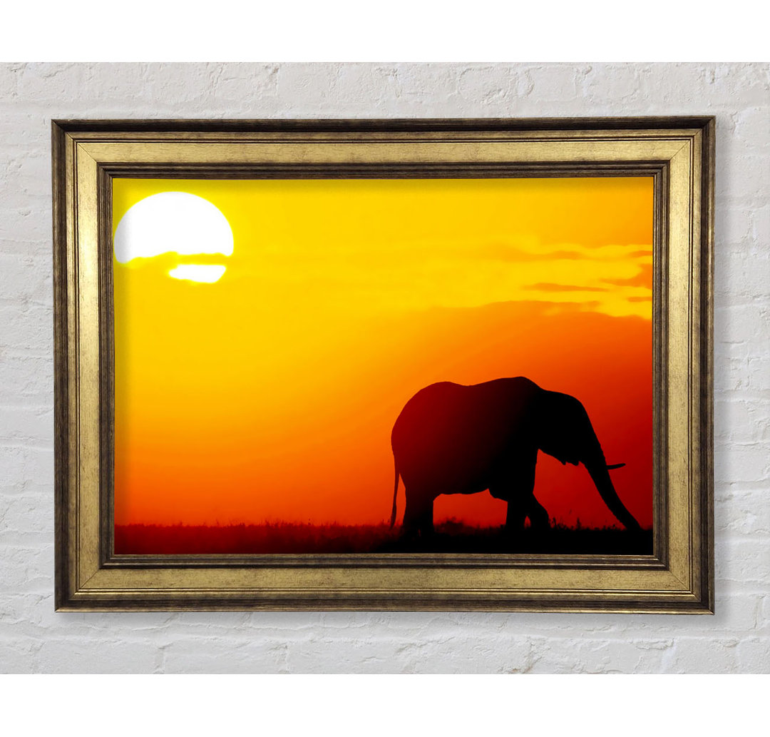 Goldener Elefant - Bilderrahmen Kunstdrucke