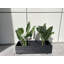 Handmade Wood Planter Box-906719526-916560982