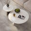 Pomme blanche-411410362
