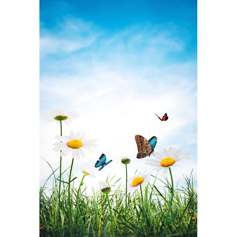 Meadow With Golden Daisies - Wrapped Canvas Print, 91cm H x 61cm W x 3.8cm D