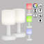 Moncheri USB Battery -operated Table Lamp Lamp