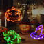 Indoor / Outdoor Lighted Sign
