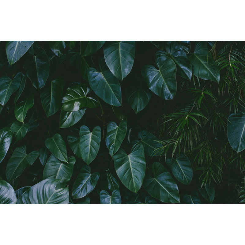 Jungle Leaves Background by Jasmina007, 12" H x 18" W