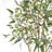 TREE 7FT Willow Eucalyptus KD