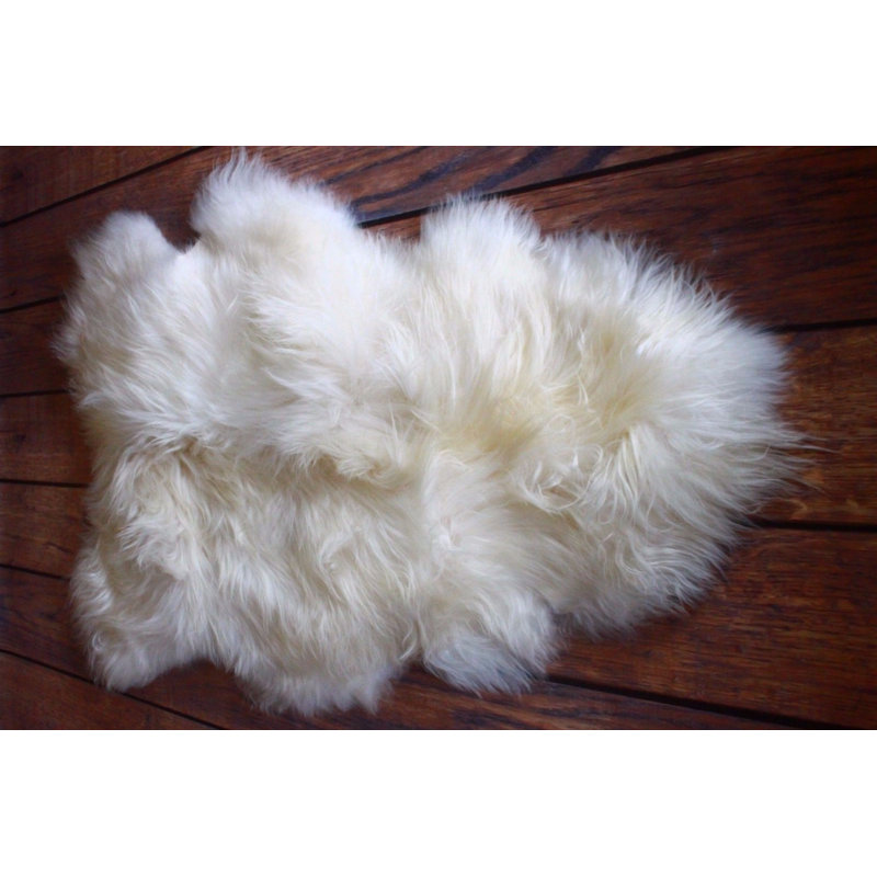 Huitt Wool Animal Print Indoor Rug