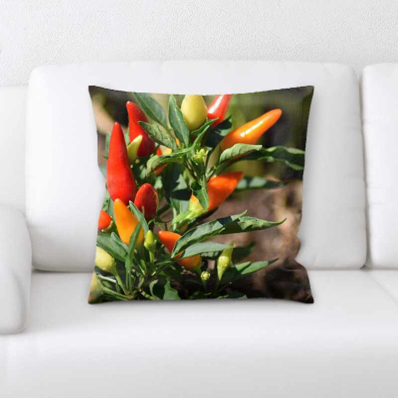 Coussin de légumes