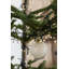 12 Piece Charise Ball Ornament Set