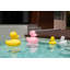 The Duck Duck Lamp XL rose-125499948-125499944
