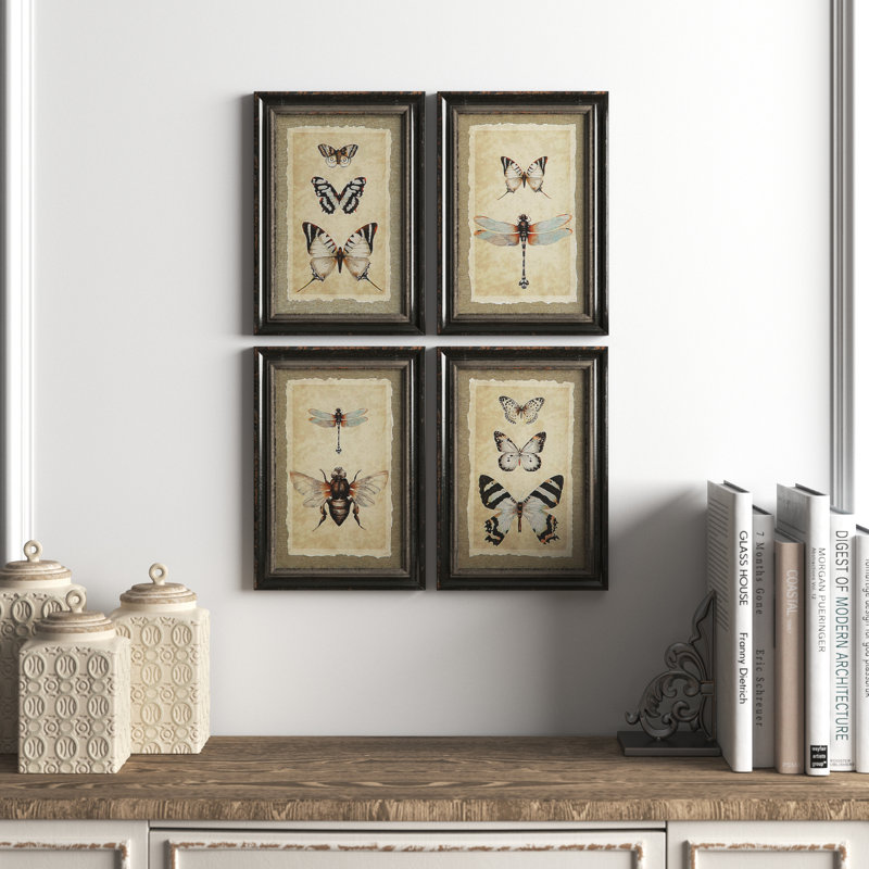 Vintage Insect Prints 4-Piece Set with Glass and Wood Frames