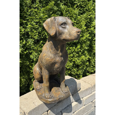 Labrador