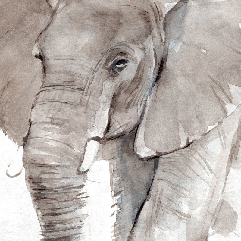 Elephant Grooves I 1 Piece Wrapped Canvas Painting, 91cm H x 91cm W
