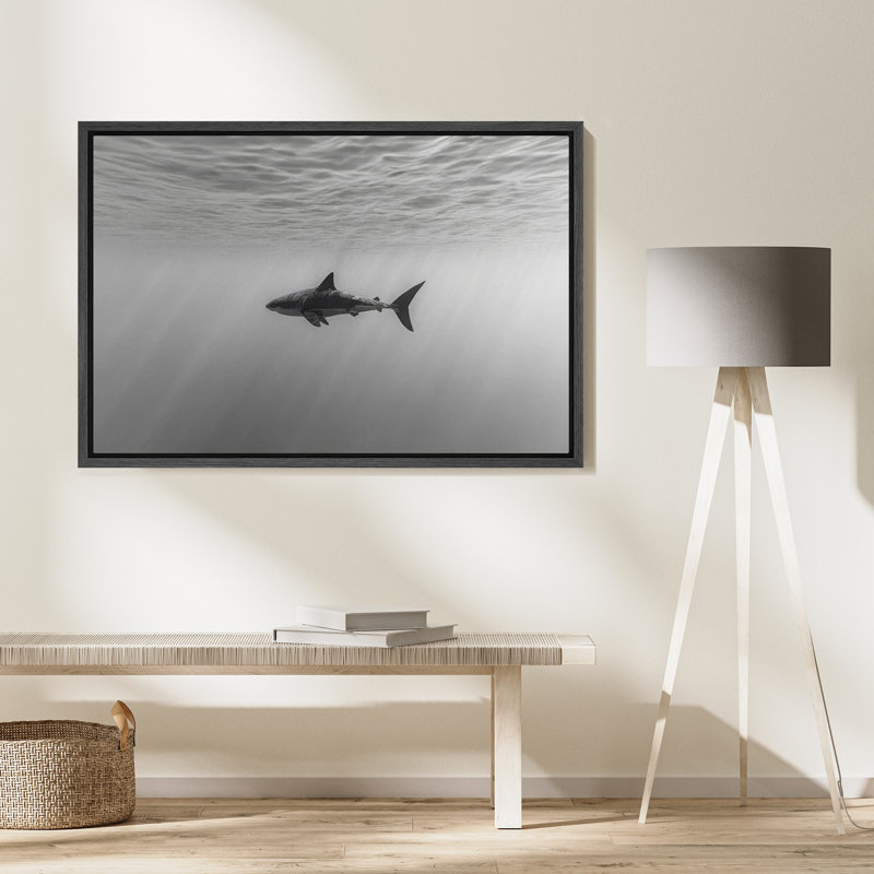 «Black and White Shark Ocean Profond Modern Coastal Decor», reproduction d'art sur toile encadrée, H 16 po x l 24 po