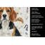 Torchon Beagle-1234934586