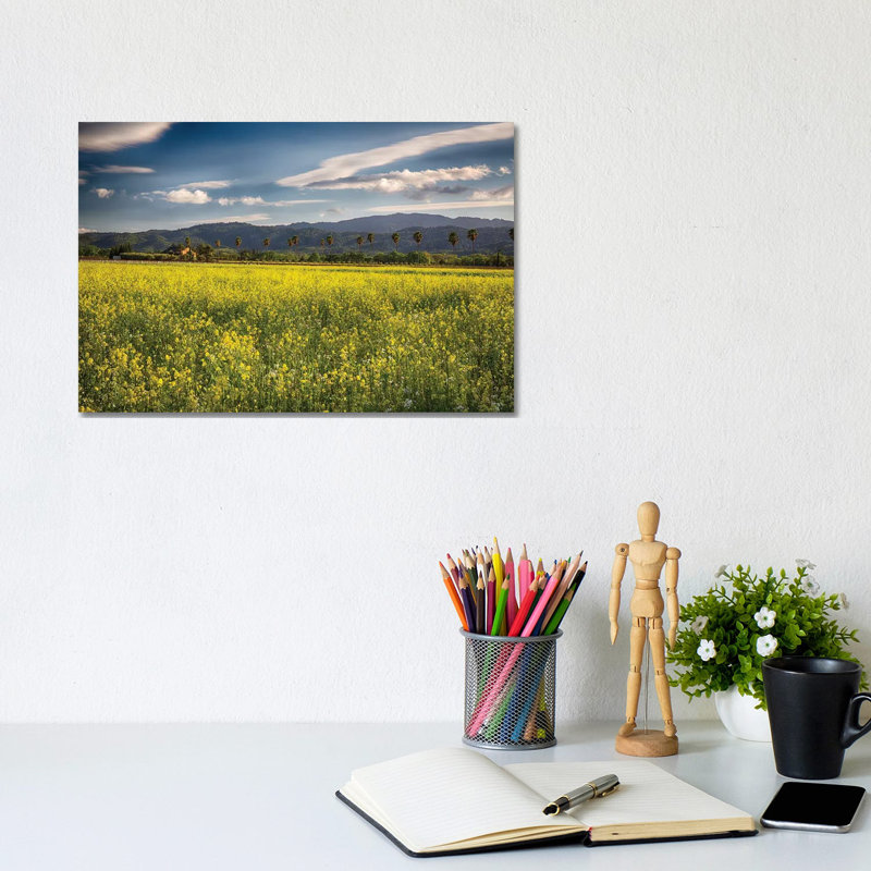 Napa Valley Spring Vista with Blooming Yellow Mustard 1 Piece Wrapped Canvas Wall Art, 20.32 cm H x 30.48 cm W