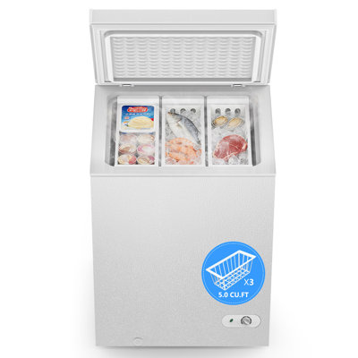 Chest Freezer 5.0 Cu.Ft, Deep Freezer with 3 Removable Baskets, Adjustable Temperature, Free-Standing Top Open Door, Quiet Energy-Saving Compact Freez | Fridge.com