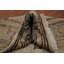 Tapis turc Oushak 3x5