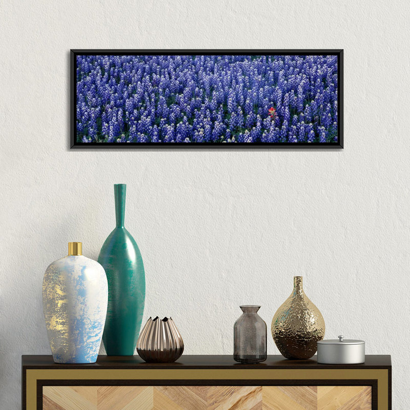 «Bluebonnet» panoramique dans un champ, Hill County, Texas, reproduction de photo sur toile, H 12 po x l 36 po x P 1,5 po