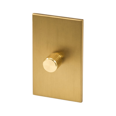 Single Rotary Wall Dimmer In Graphite