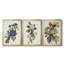 Pl 102 Blue Jay - Toile tendue avec châssis sur mesure - 3 pièces-76133853-76133854