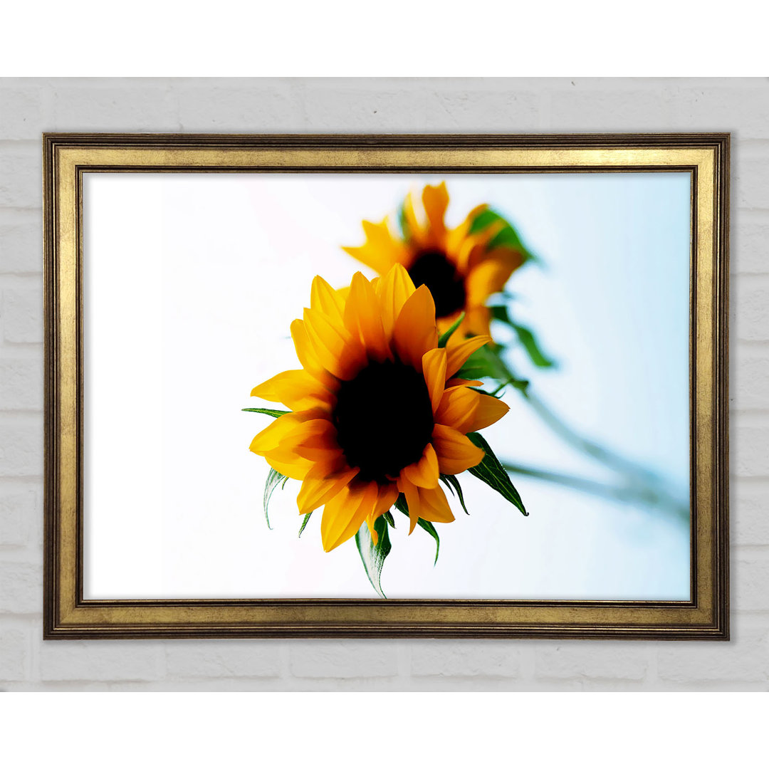 Gelbe Sonnenblume Duo - Druck