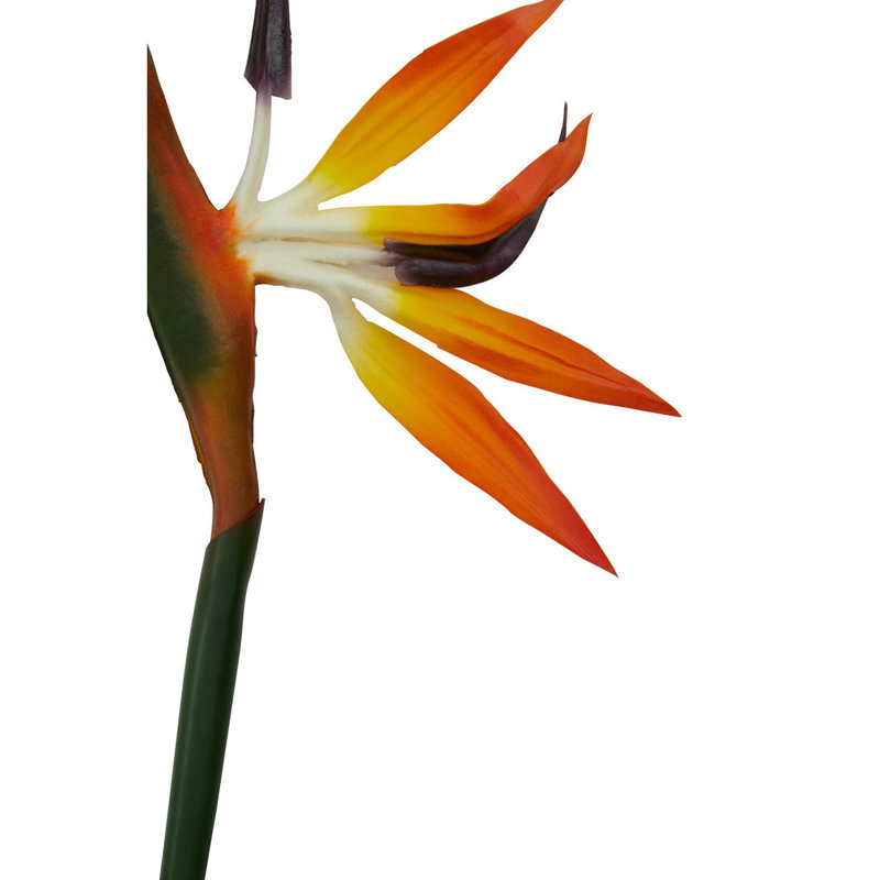 Fiori Bird Of Paradise Arrangement