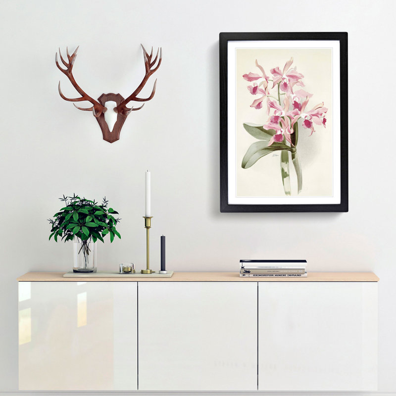 Magnolia Flowers Illustration Tab. 20 by Frederick Sander - Picture Frame Painting Print, 76cm H x 50cm W x 2cm D, Black
