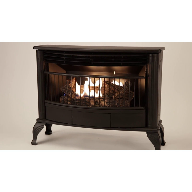 ProCom Black 25,000 BTU Dual Fuel Ventless Gas Stove with Remote