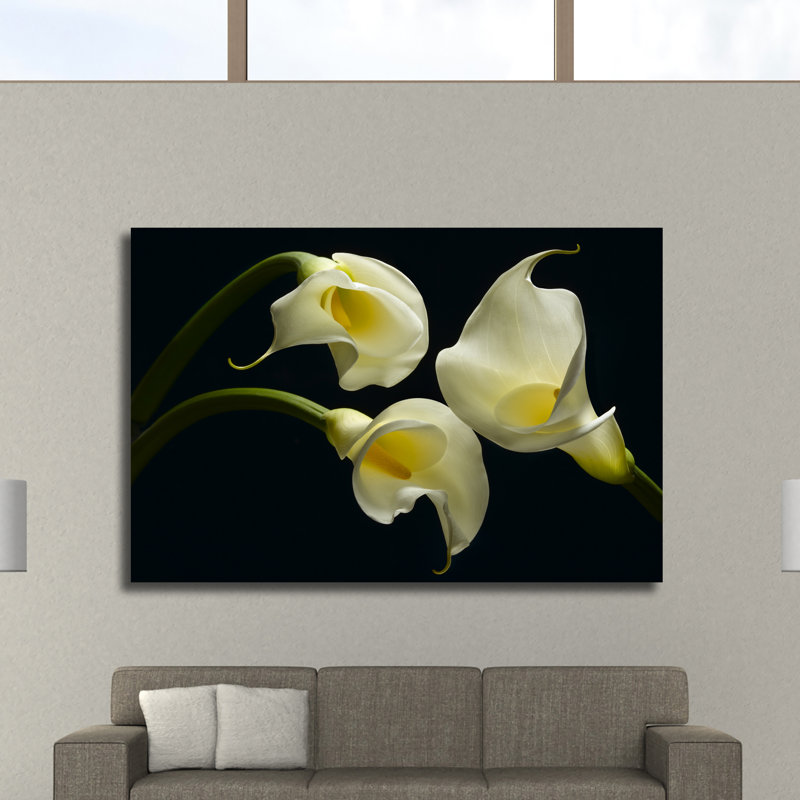 Three Calla Lillies by Barry Seidman - Wrapped Canvas Print, 30cm H x 46cm W x 4cm D