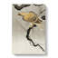 Eagle In The Tree by Pierre-Joseph Redoute - Wrapped Canvas-55342554
