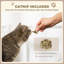 Napper Particle Board Pet Sofa
