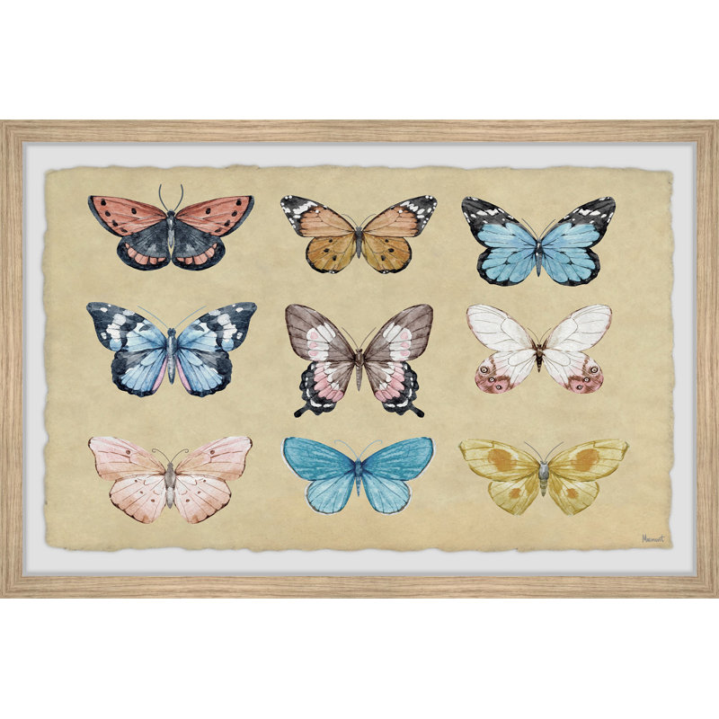 Striking Colours - Single Picture Frame Print, 38cm H x 45cm W x 3.81cm D