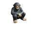Animals Weather Resistant Garden Statue