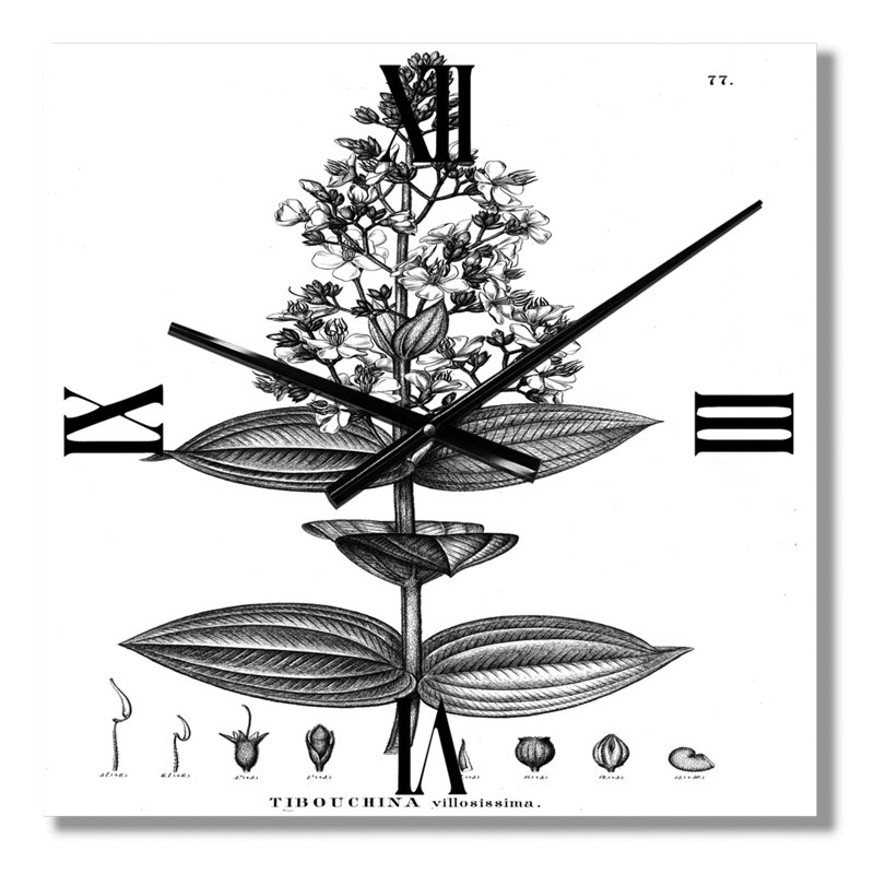 Horloge murale American Flora VI, Petit