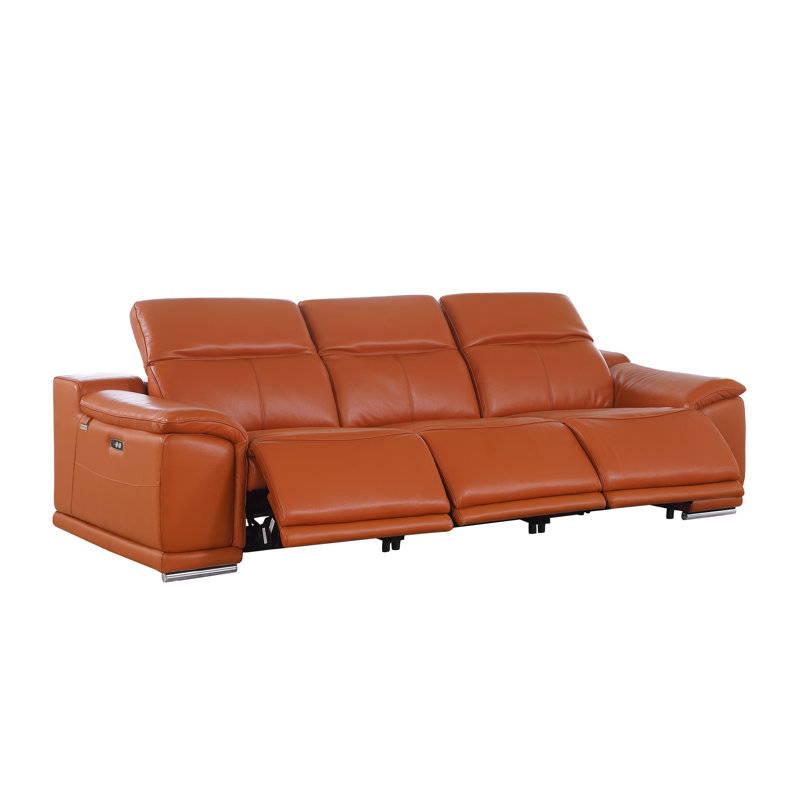 LILY-CAMEL-3,3-HT, Chameau