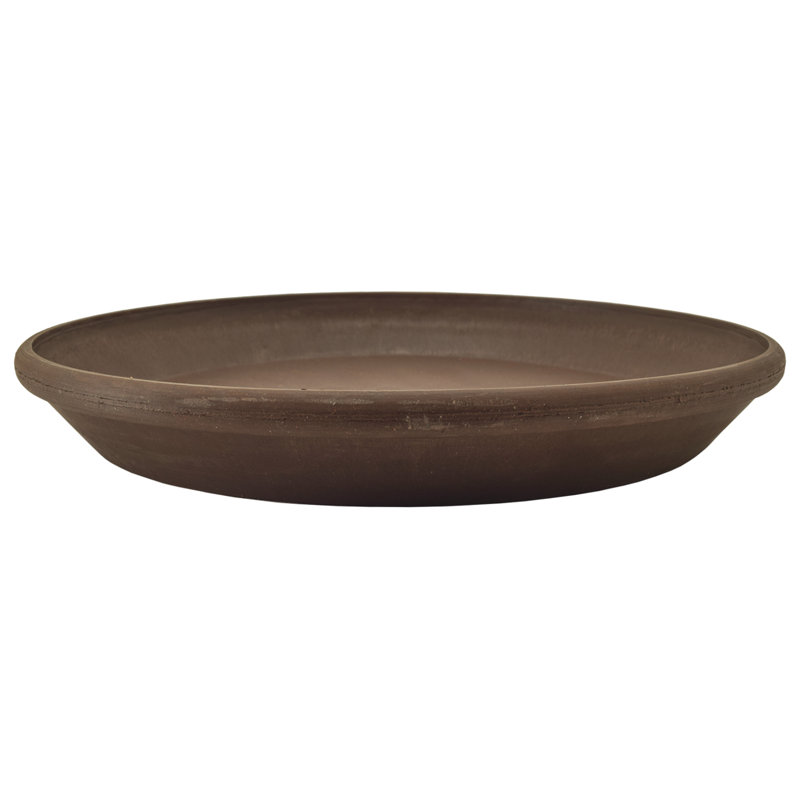 Soucoupe Rogalski, 10 po, Chocolat