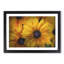 Yellow Coneflowers - Picture Frame Painting Print-56739512-56739513