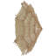 Fayetteville Plug-in Flush Mounted Sconce