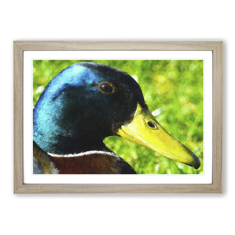 Mallard Duck - Picture Frame Painting, 27cm H x 36cm W x 2cm D, Oak Framed