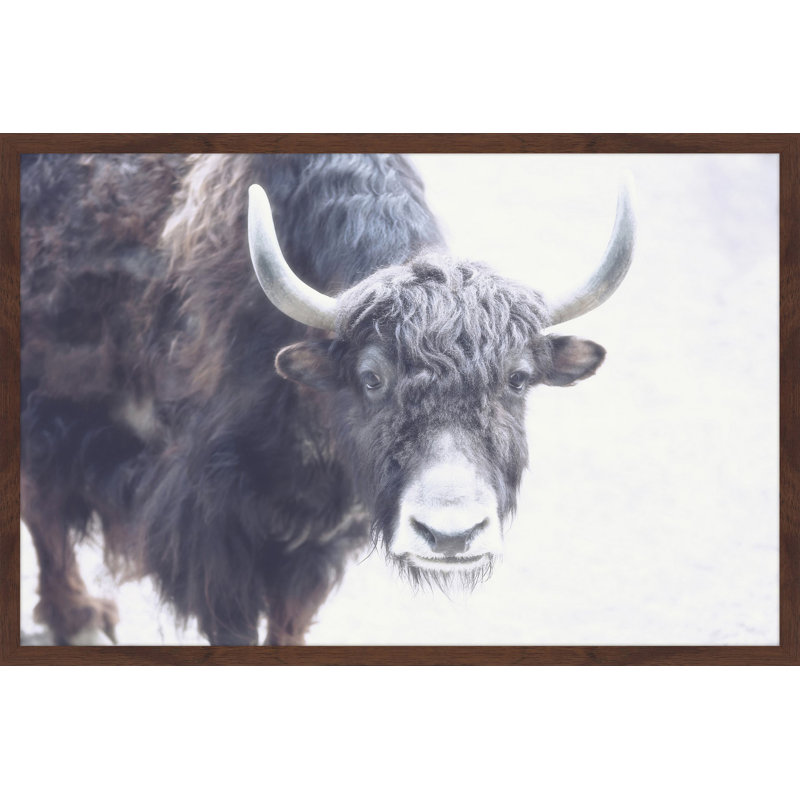 Parvez Taj - Single Picture Frame Print, 41cm H x 61cm W x 3.81cm D