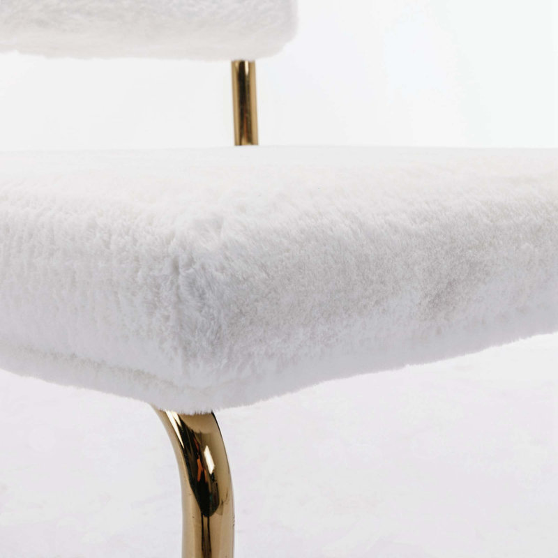 Lional 20'' H Upholstered Side Chair, White