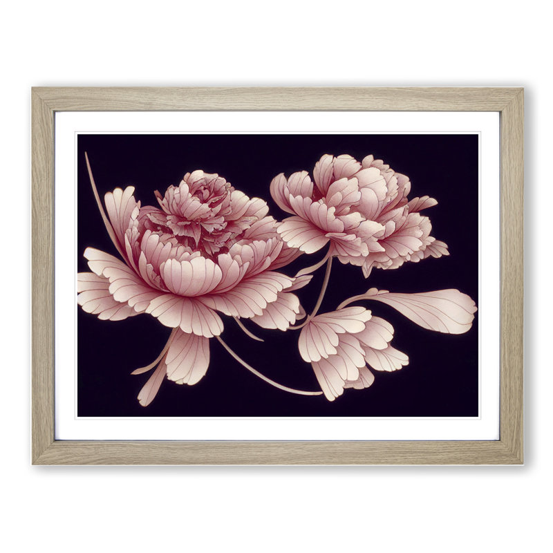 Blissful Peony Flowers - Framed Print, 46cm H x 64cm W x 2cm D, Oak