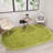 Indoor Rug