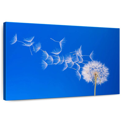 Harnek Dandelion Seeds Flying