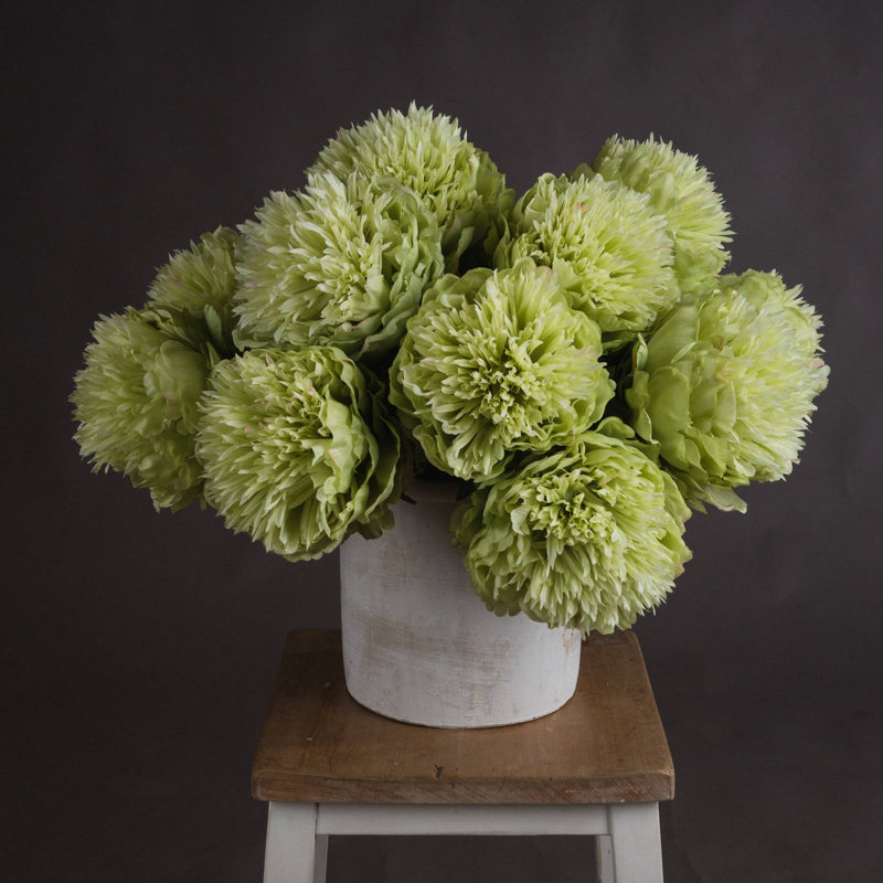 Anastasija Arrangement
