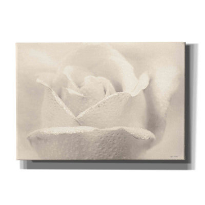 «White Rose» par Lori Deiter - Photographie sur toile tendue