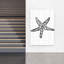 Starfish Drawing Minimalist Contemporary Starfish Beach Nature Wall Art Print by Nicholas - Wrapped Canvas Print-126872348