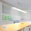 Chadwin 1-Light LED Linear Pendant