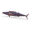 Animals Wahoo Fish Wall Décor