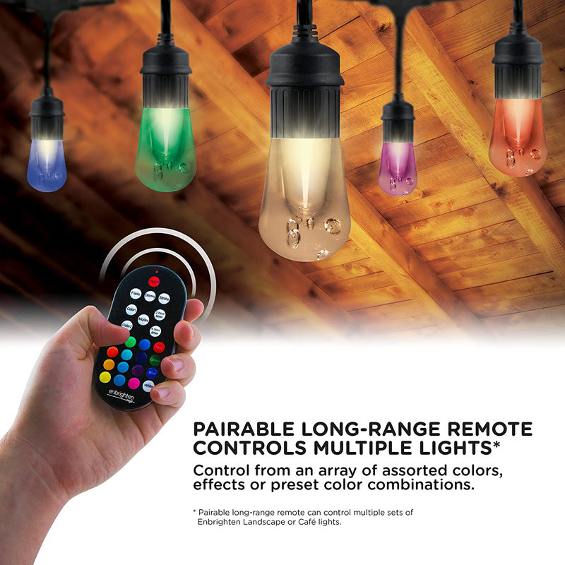 24ft Black Outdoor Color-Changing Acrylic LED String Lights